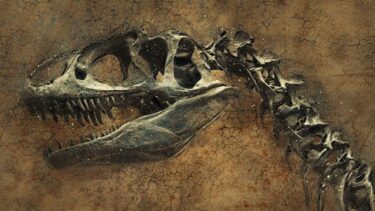 ジュラシックワールドに出てくる爪の長い恐竜はテリジノサウルス。肉食・草食どっち？